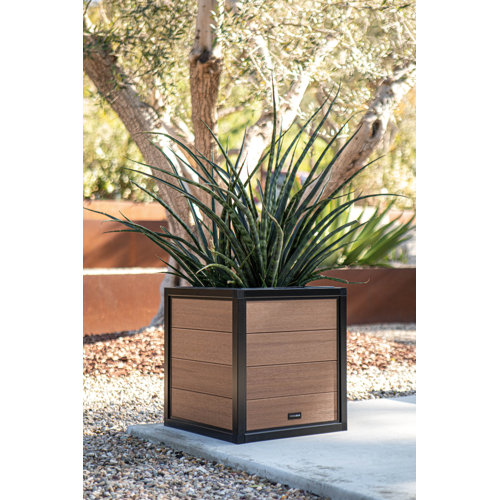 Veradek Duo Series SelfWatering Planter Box & Reviews Wayfair
